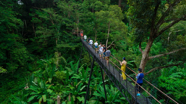 Zipline и верёвочный парк Микли